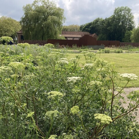 Etzenrade tuin impressie